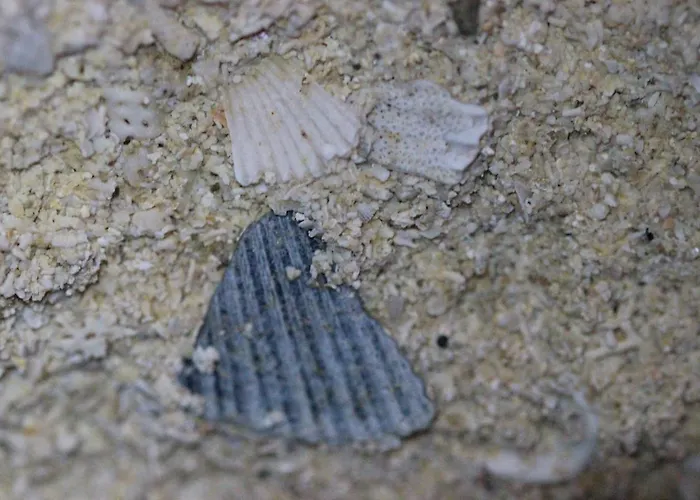 Le Chai De La Rose 3*